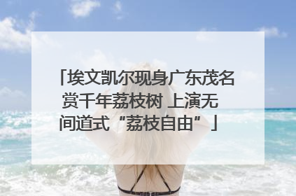 埃文凯尔现身广东茂名 赏千年荔枝树 上演无间道式“荔枝自由”