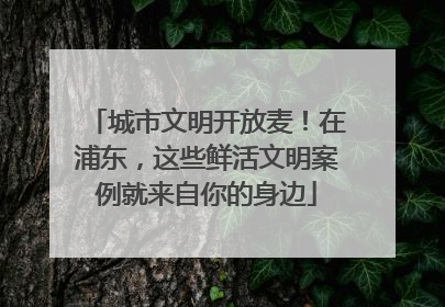 城市文明开放麦！在浦东，这些鲜活文明案例就来自你的身边