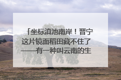 坐标滇池南岸！晋宁这片镜面稻田藏不住了——有一种叫云南的生活之365天