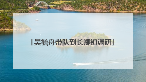 吴毓舟带队到长卿镇调研