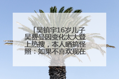 吴镇宇16岁儿子吴费曼因变化太大登上热搜，本人晒搞怪照：如果不喜欢现在的我可以离开