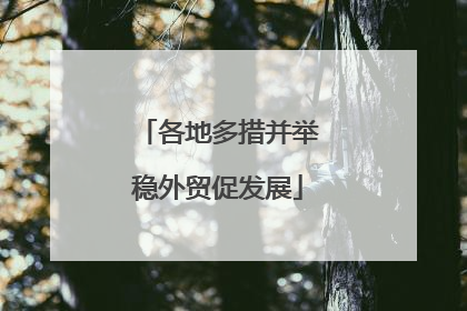 各地多措并举稳外贸促发展