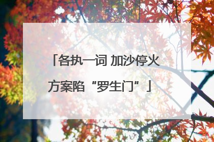 各执一词 加沙停火方案陷“罗生门”