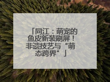 同江：萌宠的鱼皮新装刷屏！非遗技艺与“萌态跨界”