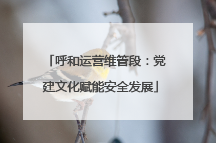 呼和运营维管段：党建文化赋能安全发展