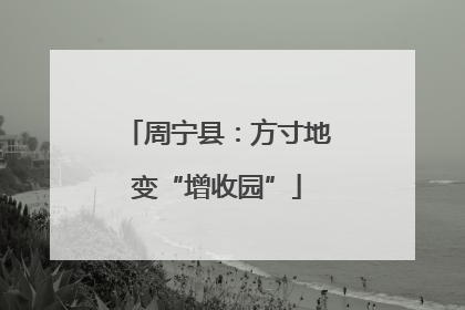 周宁县：方寸地变“增收园”