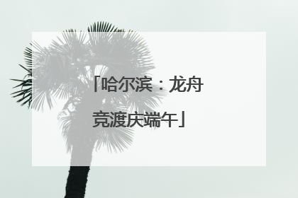 哈尔滨：龙舟竞渡庆端午