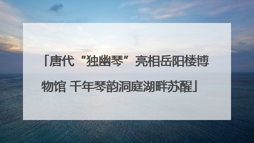 唐代“独幽琴”亮相岳阳楼博物馆 千年琴韵洞庭湖畔苏醒