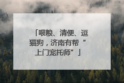 喂粮、清便、逗猫狗，济南有帮“上门宠托师”