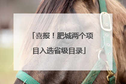喜报！肥城两个项目入选省级目录