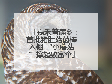 嘉禾普满乡：首批猪肚菇菌棒入棚 “小蘑菇”撑起致富伞