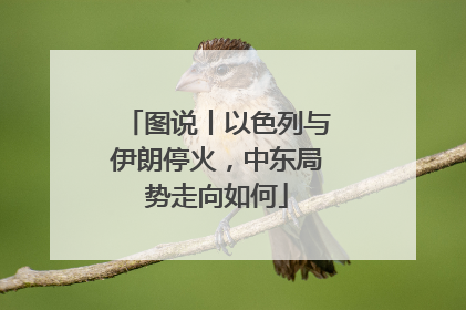 图说丨以色列与伊朗停火，中东局势走向如何