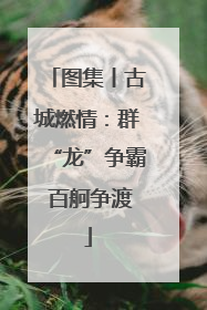 图集丨古城燃情：群“龙”争霸 百舸争渡