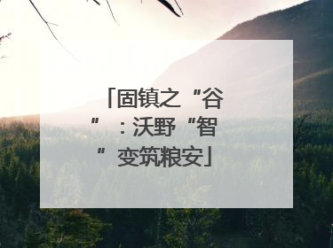 固镇之“谷”：沃野“智”变筑粮安