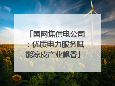 国网焦供电公司：优质电力服务赋能凉皮产业飘香