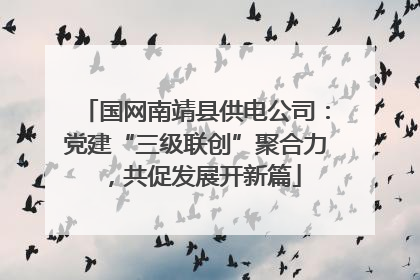 国网南靖县供电公司：党建“三级联创”聚合力，共促发展开新篇