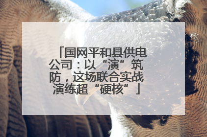 国网平和县供电公司：以“演”筑防，这场联合实战演练超“硬核”