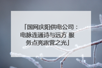 国网庆阳供电公司：电脉连通诗与远方 服务点亮露营之光