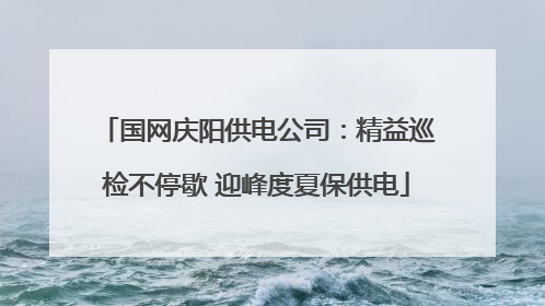 国网庆阳供电公司：精益巡检不停歇 迎峰度夏保供电
