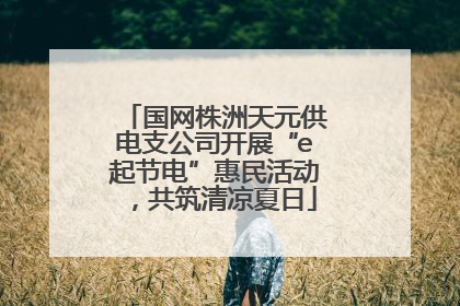 国网株洲天元供电支公司开展“e起节电”惠民活动，共筑清凉夏日