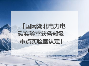 国网湖北电力电碳实验室获省部级重点实验室认定