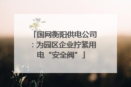 国网衡阳供电公司：为园区企业拧紧用电“安全阀”
