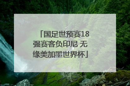 国足世预赛18强赛客负印尼 无缘美加墨世界杯