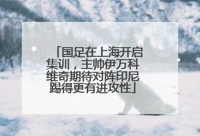 国足在上海开启集训，主帅伊万科维奇期待对阵印尼踢得更有进攻性