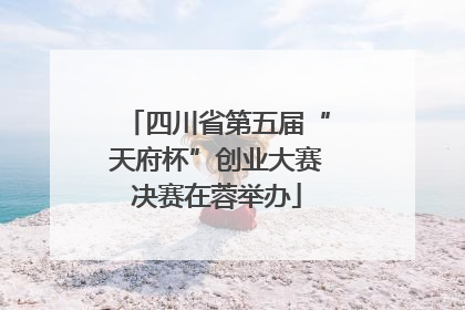四川省第五届“天府杯”创业大赛决赛在蓉举办