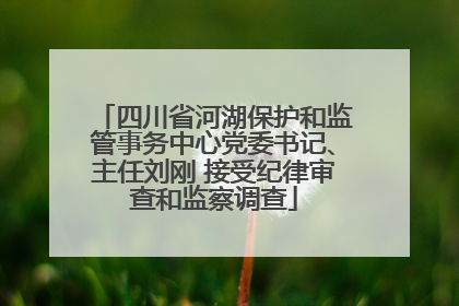 四川省河湖保护和监管事务中心党委书记、主任刘刚 接受纪律审查和监察调查