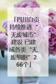 四川自贡持续推进“无废城市”建设 已建成各类“无废细胞”266个
