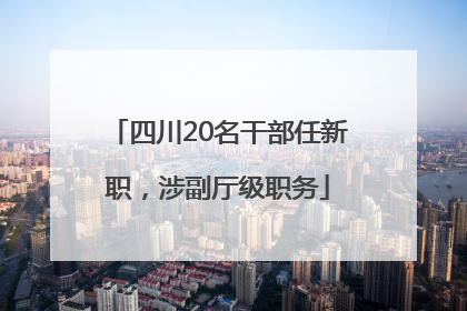 四川20名干部任新职，涉副厅级职务