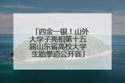 四金一银！山外大学子亮相第十五届山东省高校大学生跆拳道公开赛