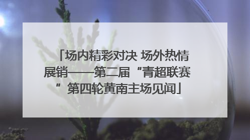 场内精彩对决 场外热情展销——第二届“青超联赛”第四轮黄南主场见闻