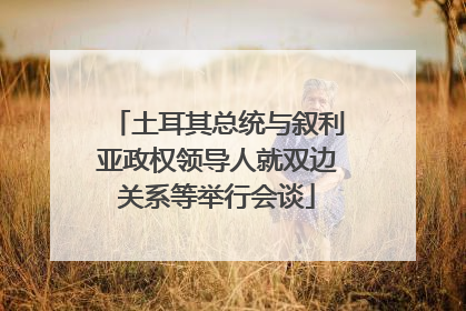 土耳其总统与叙利亚政权领导人就双边关系等举行会谈