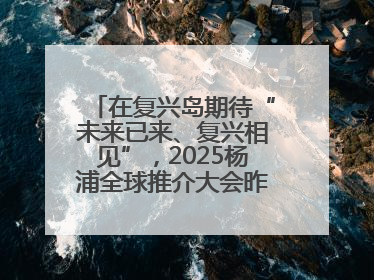 在复兴岛期待“未来已来、复兴相见”，2025杨浦全球推介大会昨晚举行