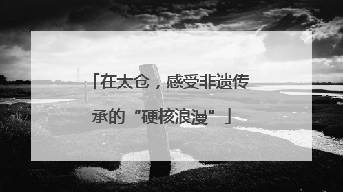 在太仓，感受非遗传承的“硬核浪漫”