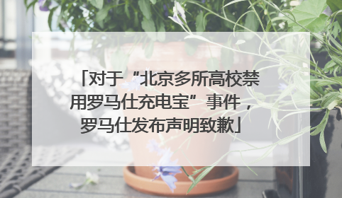 对于“北京多所高校禁用罗马仕充电宝”事件，罗马仕发布声明致歉