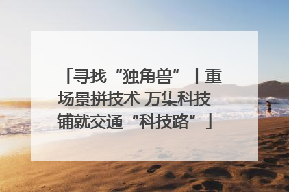 寻找“独角兽”丨重场景拼技术 万集科技铺就交通“科技路”