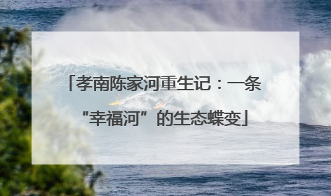 孝南陈家河重生记：一条“幸福河”的生态蝶变