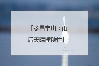 孝昌丰山：雨后天晴插秧忙