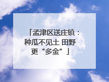 孟津区送庄镇：种瓜不见土 田野更“多金”