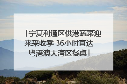 宁夏利通区供港蔬菜迎来采收季 36小时直达粤港澳大湾区餐桌