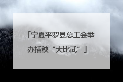 宁夏平罗县总工会举办插秧“大比武”