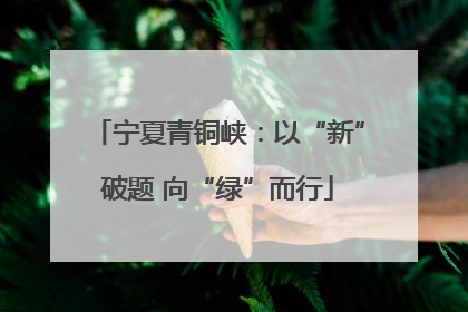 宁夏青铜峡：以“新”破题 向“绿”而行
