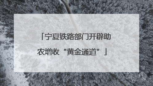 宁夏铁路部门开辟助农增收“黄金通道”