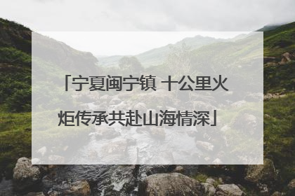 宁夏闽宁镇 十公里火炬传承共赴山海情深