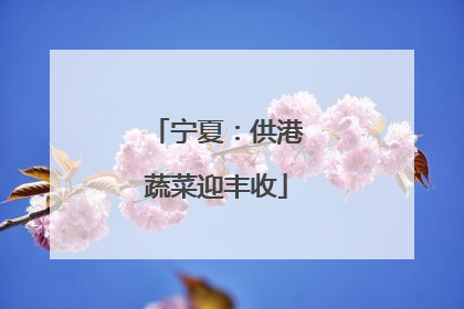 宁夏：供港蔬菜迎丰收