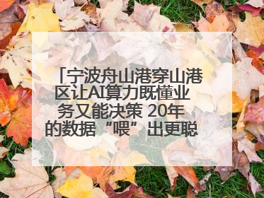 宁波舟山港穿山港区让AI算力既懂业务又能决策 20年的数据“喂”出更聪明的港口