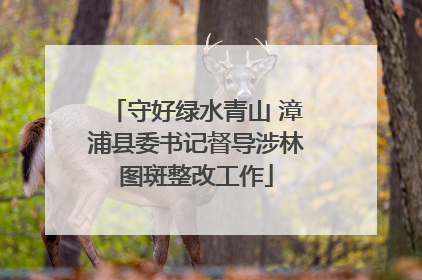 守好绿水青山 漳浦县委书记督导涉林图斑整改工作